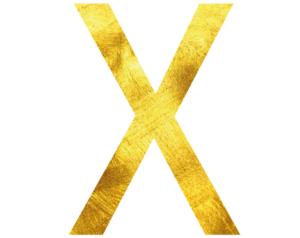 DJ Xter Logo weiß